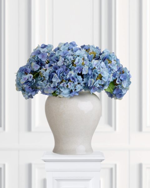 placeholder-image