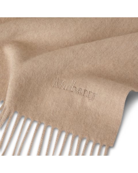 placeholder-image