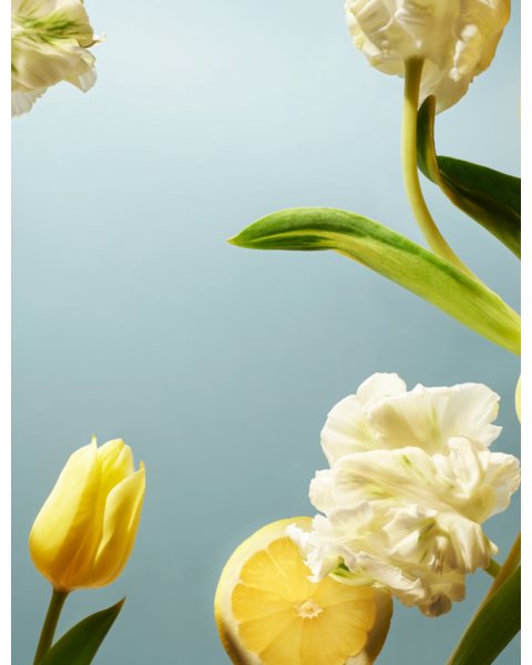 placeholder-image