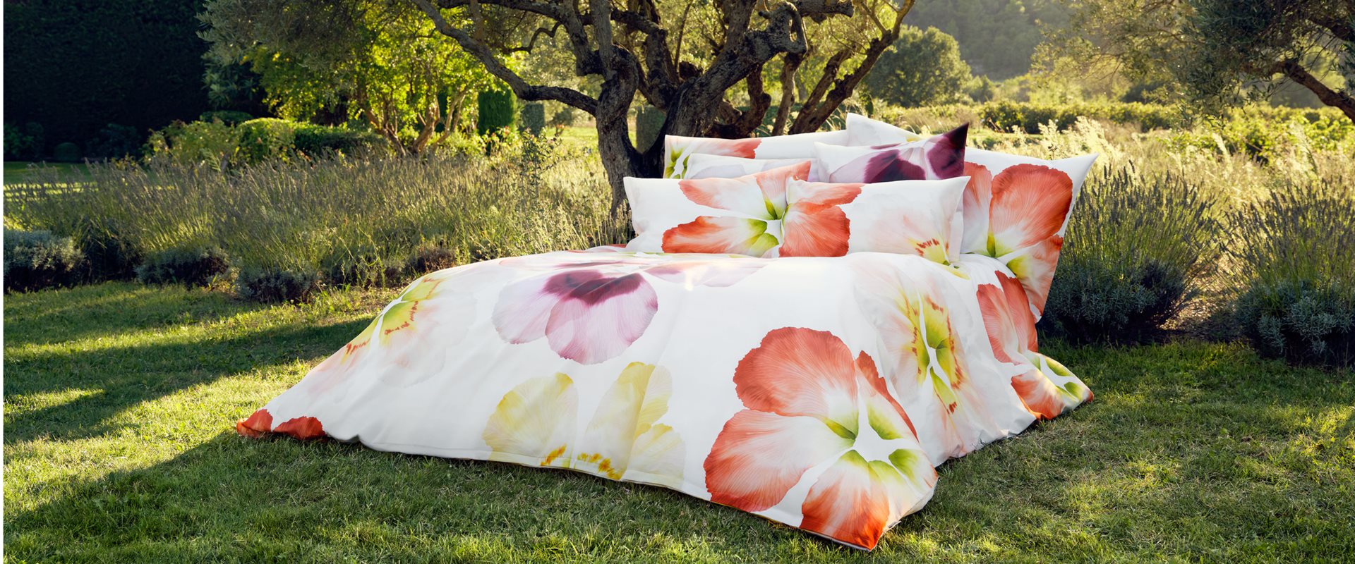 Schlossberg hero block text inside